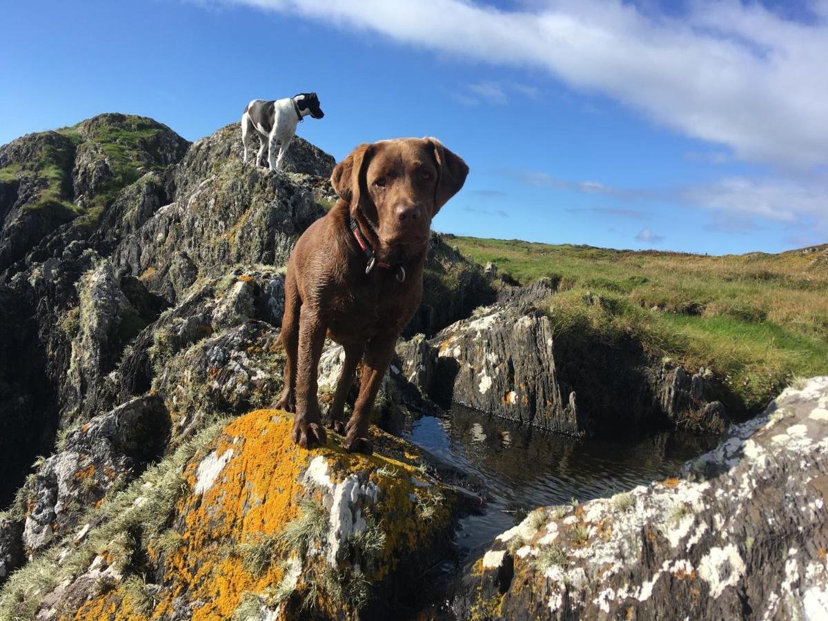 Castaway East - Long Island Hotel Schull Luaran gambar