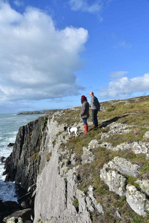 Castaway East - Long Island Hotel Schull Luaran gambar