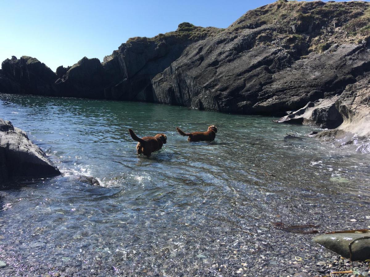 Castaway East - Long Island Hotel Schull Luaran gambar